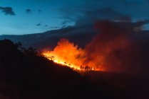 Wald auf dem Land mit bewölktem Himmel, der am Abend von Feuerrauch bedeckt ist — Stockfoto