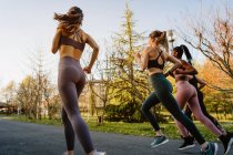 Back view multiracial female runners in activewear jogging during cardio training on walkway in town — Stock Photo