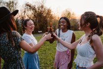 Grupo de mujeres felices y diversas que se reúnen en el parque y tintinean botellas de cerveza mientras disfrutan juntos del fin de semana de verano - foto de stock