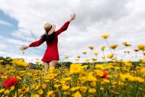 Vista posterior femenina anónima de moda en vestido rojo de pie en el campo de flores con flores amarillas y rojas con los brazos extendidos en el cálido día de verano - foto de stock