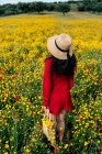 De haut en arrière vue anonyme femelle tendance en robe de soleil rouge, chapeau et sac à main debout sur le champ fleuri avec des fleurs jaunes et rouges lors d'une chaude journée d'été — Photo de stock