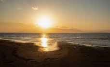 Peaceful seascape on sandy beach near calm sea at sunset time — Fotografia de Stock