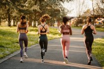 Coureuses multiraciales en vêtements de sport faisant du jogging pendant un entraînement cardio sur une passerelle en ville — Photo de stock