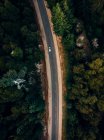 Vista aerea superiore della guida in auto lungo la strada asfaltata circondata da verdi alberi di conifere di bosco — Foto stock