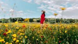 Vista lateral de la mujer feliz en vestido rojo, sombrero y bolso de pie con los ojos cerrados en el campo de flores con flores amarillas y rojas disfrutando en el cálido día de verano - foto de stock