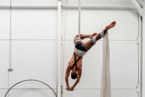Full length back view of unrecognizable shirtless flexible sportsman hanging upside down on aerial silks and looking at camera while exercising in light gym — Stock Photo
