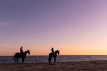 Боковой вид анонимной пары силуэтов на кобылах, созерцающих бесконечный океан с песчаного берега на закате — стоковое фото