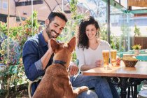 Cheerful ethnic couple with glasses of beer and potato chips talking against purebred dog at table in sunlight — Stock Photo