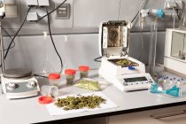 Gemme secche di fiori di marijuana sul tavolo con dispositivo di misurazione dell'equilibrio analitico e dell'umidità contro gli occhiali protettivi in laboratorio — Foto stock