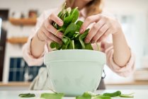 Crop unrecognizable female with spinach foliage over bowl on table during cooking process in house — Stock Photo