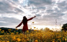 Visão traseira da fêmea irreconhecível com chapéu desfrutando do pôr do sol no campo rural com flores florescentes sob o céu nublado — Fotografia de Stock