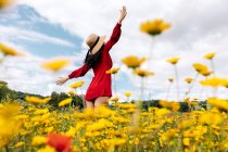 Вид ззаду анонімний модний жінка в червоному сараї, що стоїть на квітковому полі з жовтими і червоними квітами з простягнутими руками в теплий літній день — стокове фото