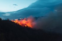 Floresta do campo com céu nublado coberto por fumaça de fogo durante a noite — Fotografia de Stock