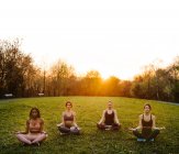 Gesellschaft verschiedener ruhiger Weibchen, die im Lotus sitzen, posieren im Park und meditieren mit geschlossenen Augen, während sie im Sommer bei Sonnenuntergang Yoga machen — Stockfoto