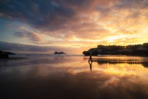 Неузнаваемый человек наслаждается закатом у моря в летний день — стоковое фото