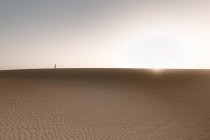Anonyme Touristin spaziert, während sie in der Abenddämmerung den hellen Himmel mit Sonnenstrahlen betrachtet — Stockfoto