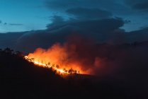 Bosque de campo con cielo nublado cubierto de humo de fuego durante la noche - foto de stock