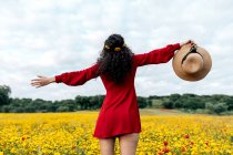 Visão traseira fêmea na moda anônima em sundress vermelho em pé no campo florescente com flores amarelas e vermelhas com braços estendidos no dia quente de verão — Fotografia de Stock