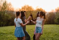 Группа счастливых разнообразных женщин собирается в парке и трещит бутылками пива, наслаждаясь летними выходными вместе — стоковое фото