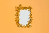 Yellow blooming branches and stems making frame on orange background — Stock Photo