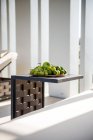 Plate with fresh green apples limes and bunch og grapes placed on small coffee table near comfortable lounger in sunlight - foto de stock