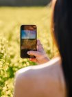 Vue arrière femelle méconnaissable aux épaules nues prenant des photos sur smartphone de champ fleuri avec des fleurs jaunes dans une campagne ensoleillée — Photo de stock