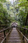 Desde arriba vista panorámica de las estrechas escaleras de madera en la pendiente de la colina en bosques verdes en Indonesia - foto de stock