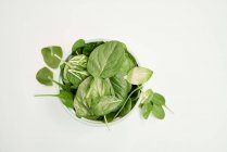 Вид зверху на зелене листя шпинату з венами і стеблами в мисці на білій поверхні — стокове фото