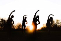 Низький кут силуетів анонімних спортсменів, які роблять бокові вправи згинання, розтягуючись разом у парку на тлі заходу сонця неба — стокове фото