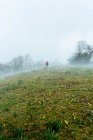 Visão traseira do explorador anônimo com mochila andando através do prado florescendo na manhã enevoada — Fotografia de Stock