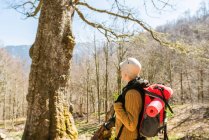 Seitenansicht einer Backpackerin, die an sonnigen Tagen im Hochland in Wäldern steht — Stockfoto