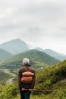 Visão traseira da mulher idosa anônima com mochila e pau de trekking em pé na encosta gramada em direção ao pico da montanha durante a viagem na natureza — Fotografia de Stock