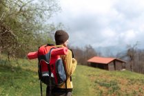 Вид ззаду на пустотливу жінку-мандрівника з рюкзаком, що стоїть в горах, дивлячись далеко — стокове фото
