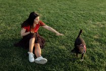 Propietaria sentada en césped verde con un perro adorable mientras pasan el fin de semana juntos en el parque de verano por la noche - foto de stock