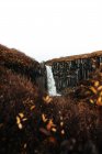 Живописный вид на каскад, падающий в реку со скалы между сухими растениями — стоковое фото