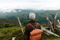 Back view of anonymous elderly woman with backpack standing on grassy slope towards mountain peak during trip in nature — Stock Photo