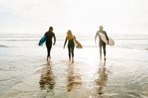 Vue arrière d'un groupe méconnaissable d'amis surfeurs vêtus de combinaisons de plongée marchant avec des planches de surf vers l'eau pour attraper une vague sur la plage au lever du soleil — Photo de stock