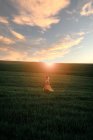 Jeune femme en robe vintage regardant loin en marchant seul dans un champ herbeux au coucher du soleil en soirée d'été à la campagne — Photo de stock