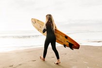Вид збоку жінка-серфер, одягнена в гідрокостюм, ходить під час перенесення дошки для серфінгу над головою на пляжі під час сходу сонця на задньому плані — стокове фото
