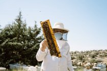 Apicultor masculino en traje protector y mascarilla que examina el panal con abejas mientras trabaja en el colmenar en un día soleado de verano. - foto de stock