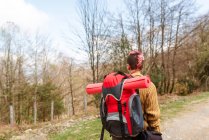 Vista trasera de una mochilera anónima caminando por la carretera en el bosque durante la aventura en verano - foto de stock