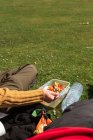 Unrecognizable crop traveler sitting on meadow and having lunch during summer adventure on sunny day — Stock Photo