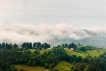 Nuages gris épais flottant sur le ciel au-dessus des collines verdoyantes par jour terne à la campagne — Photo de stock