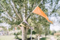 Разноцветные треугольные флаги, висящие на веревке в зеленом парке во время мероприятия в солнечный летний день — стоковое фото