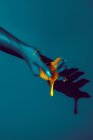 Cortar mujer irreconocible que muestra la mano con manicura y líquidos de pintura brillante en luz ultravioleta sobre fondo azul - foto de stock