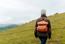 Vista posterior de una anciana anónima con mochila y bastón paseando por una ladera cubierta de hierba hacia el pico de la montaña durante el viaje en la naturaleza - foto de stock