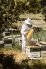 Unbekannter Imker in Schutzkleidung inspiziert Bienenstöcke aus Holz bei der Arbeit mit Bienen am Sommertag im Bienenhaus — Stockfoto