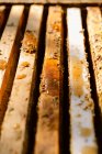 Gros plan de cadres en nid d'abeille en bois avec des gouttes de miel et de cire dans le rucher — Photo de stock