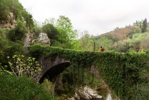 Анонімний дослідник, що йде по кам'яному мосту, вкритому зеленими рослинами в високогір'ї в похмурий день — стокове фото