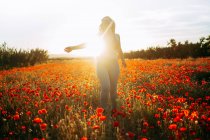 Happy woman standing on field with red flowers in sunny day — Stock Photo